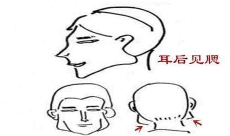 耳後見腮|詳解面相中的「反骨」，人身三大反骨你有幾樣？